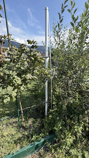 3 Gartenbeete   Beeteinfassungen zu verschenken - Selbstabbau Bild 3