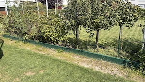 4 Gartenbeete   Beeteinfassungen zu verschenken - Selbstabbau