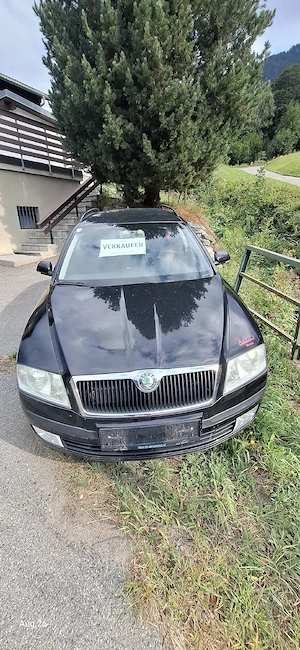 Skoda Octavia 4x4 Bild 5
