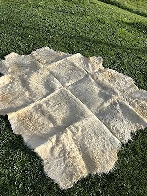 Fell Galloway Rind, 100% regional
