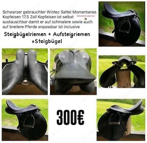 Wintec Vielseitigkeitssattel Cair Bild 7