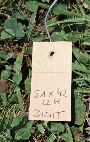 Zinkwanne DICHT Bild 2
