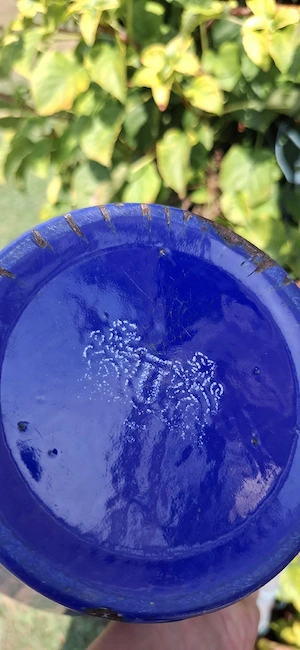 emailierter KRUG Bild 4