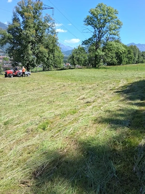 OFFERTVERKAUF:  landwirtschaftliches Grundstück  Bild 2