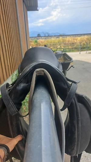 Gebrauchter Sattel von Tyr (Hrimnir) zu verkaufen Bild 4