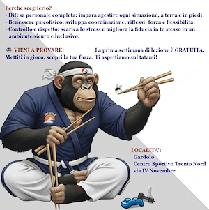 Yoseikan-Budo-Trainer Bild 3