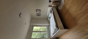 Suche Mitbewohnerin in Dornbirn  Bild 4