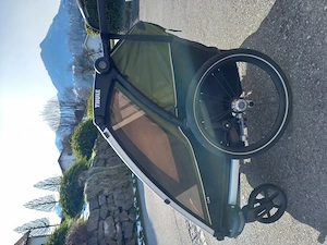 Thule Chariot Cab 2 Fahrradanhänger Bild 10