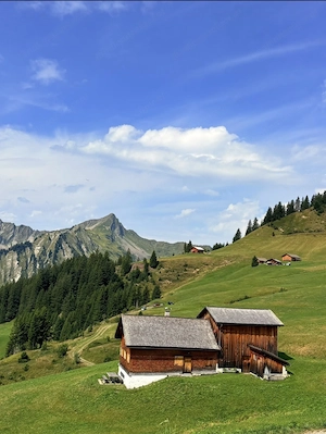 GESUCHT: Montafoner Bauernhaus