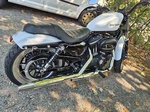 Harley Davidson Sportster XL883R Bild 4