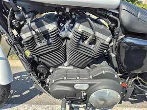 Harley Davidson Sportster XL883R Bild 7