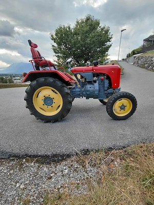 Traktor Steyr T84 Bj 1959 Bild 3