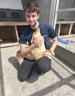 Lumi - eine liebevolle Kuschelmaus Bild 3