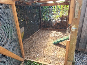Wachtel-oder Hühnerstall Bild 2