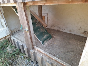 Wachtel-oder Hühnerstall Bild 5