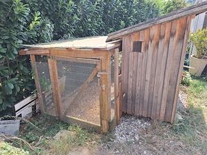 Wachtel-oder Hühnerstall Bild 3