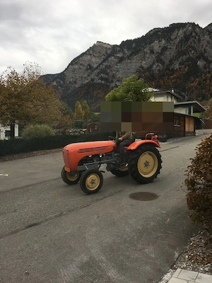 Steyr 188 (Baujahr ca. 1960 1966) zu verkaufen Bild 3