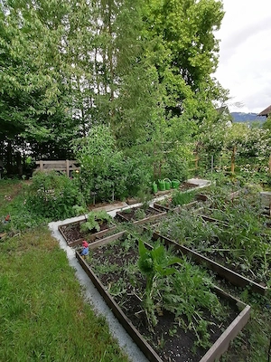 Suche 4 Leute für naturnahen Gemeinschaftsgarten Bild 4