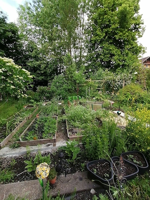 Suche 4 Leute für naturnahen Gemeinschaftsgarten Bild 2