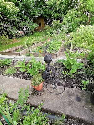 Suche 4 Leute für naturnahen Gemeinschaftsgarten Bild 3