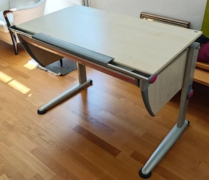 Moll mitwachsender Jugendschreibtisch 