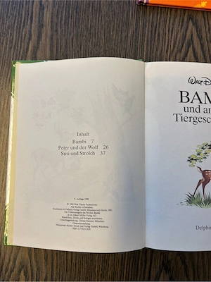 Walt Disney, 2 Bücher Bild 4