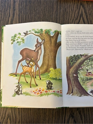 Walt Disney, 2 Bücher Bild 5