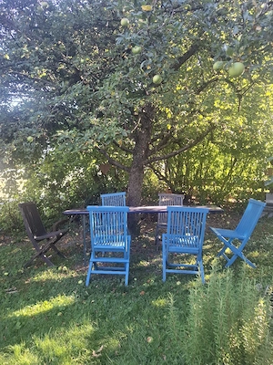 Wieserbank Set Bild 3