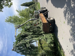 Forst und Gartenarbeiten Bild 5