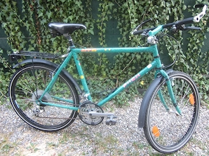 Herrenfahrrad günstig zu verkaufen