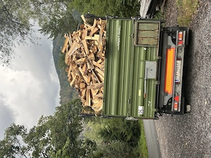 Brennholz hart