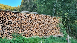 Brennholz Fichte