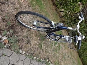 Damenfahrrad Bild 2