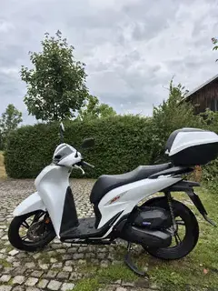 Honda SH125 Roller, nur 250KM 