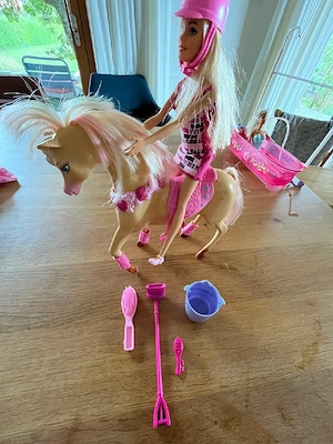 Barbie Reiterinpuppe und Pferd mit Zubehör Set Bild 5