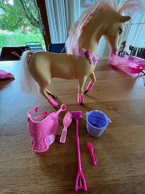 Barbie Reiterinpuppe und Pferd mit Zubehör Set Bild 4