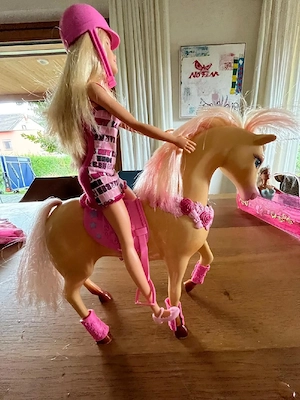 Barbie Reiterinpuppe und Pferd mit Zubehör Set Bild 3