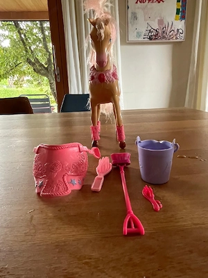 Barbie Reiterinpuppe und Pferd mit Zubehör Set Bild 2