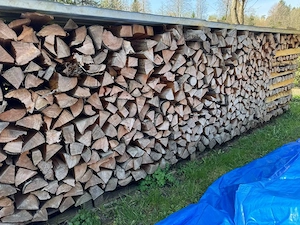 Brennholz Hart oder Weich