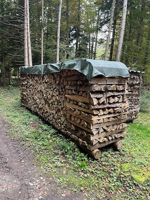 Brennholz Hart oder Weich Bild 2