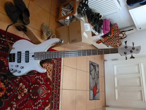 Bassgitarre Yamaha TRBX 504, aktiv
