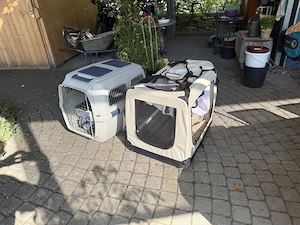 Hundeboxen Bild 2