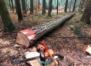 stihl Ms 462 C-M neu  Bild 6