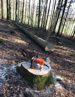 stihl Ms 462 C-M neu  Bild 7