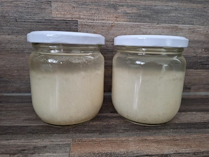 Wasserkefir Kristalle