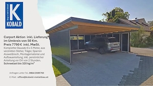 Aktion! Doppelcarport, Selbstbausatz, inkl. Lieferung im Umkreis von 50 km