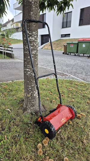 Spindelrasenmäher zu verkaufen Bild 2