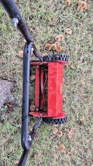 Spindelrasenmäher zu verkaufen Bild 3