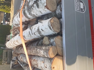 Brennholz Hartholz Birke  Bild 3