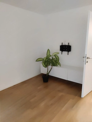 Exklusive 2 - Zimmer Wohnung in Bregenz, Pfänderweg 4 Bild 3